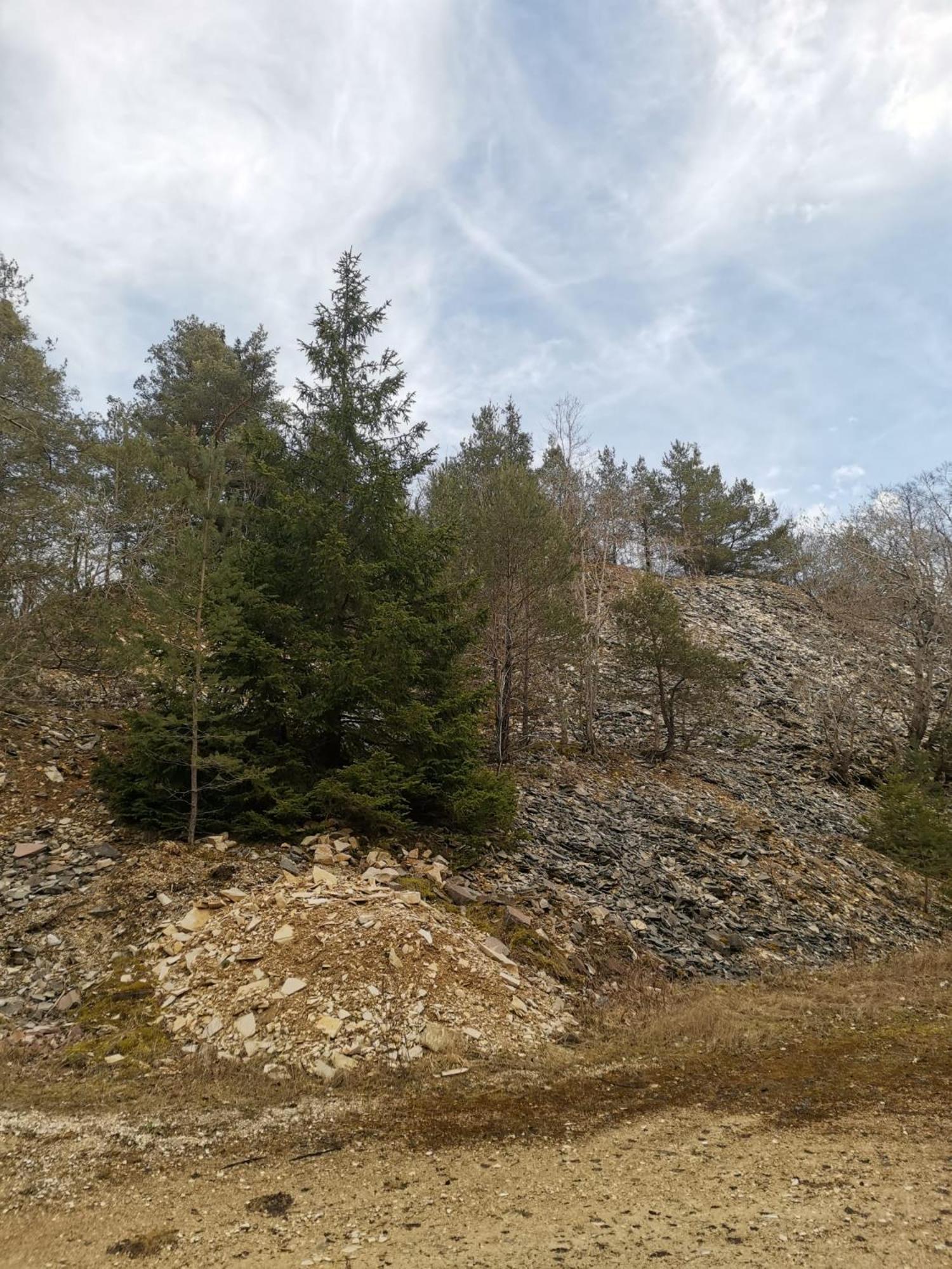 Haus Zum Talblick Διαμέρισμα Solnhofen Εξωτερικό φωτογραφία